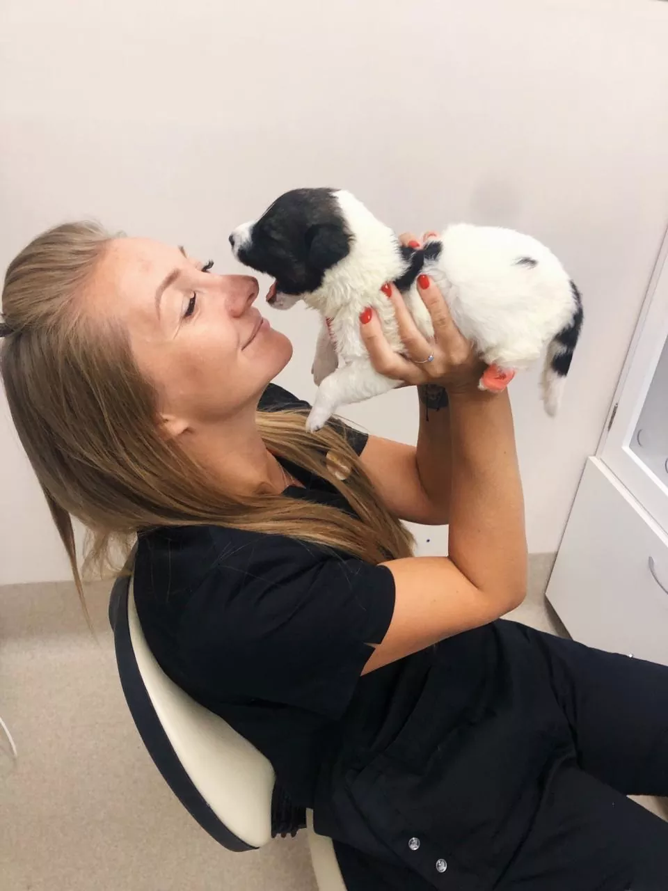 Ветеринар и щенок