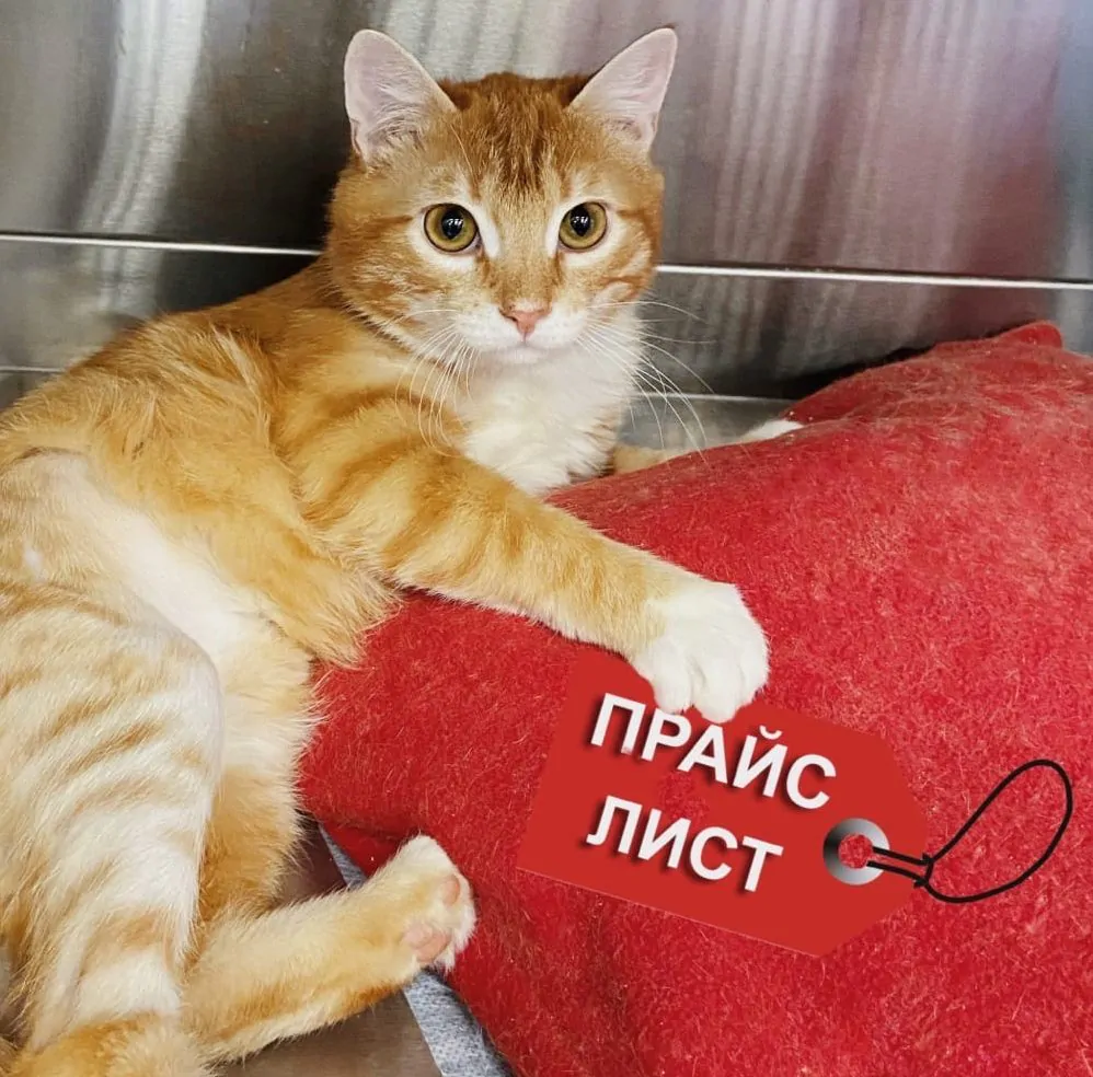 Изменение цен