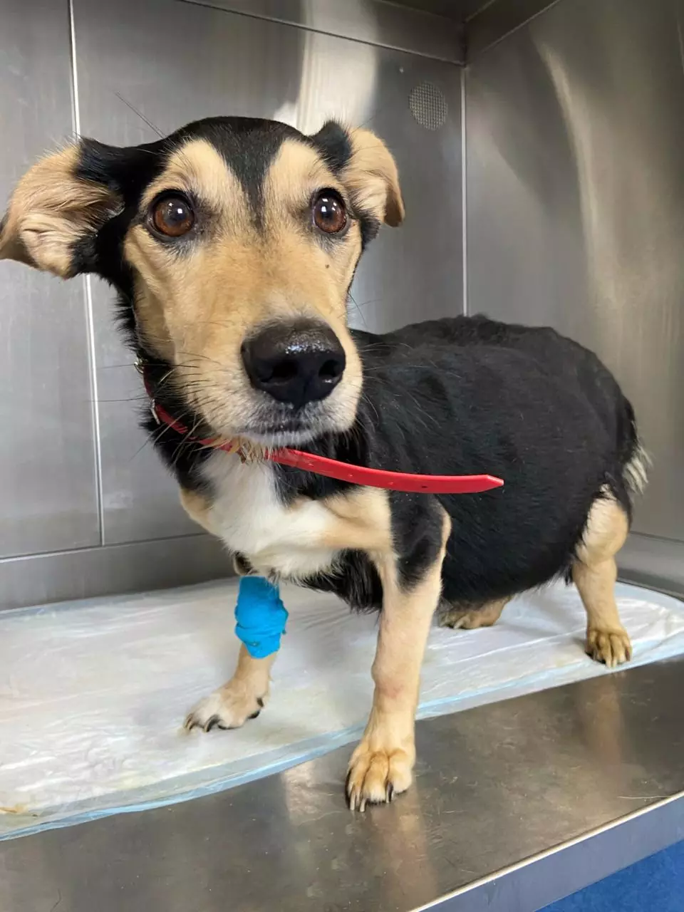 Борьба за жизнь