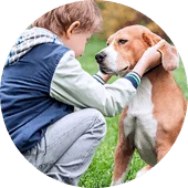 Адаптация детей к взаимодействию с собаками