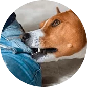 Коррекция поведения