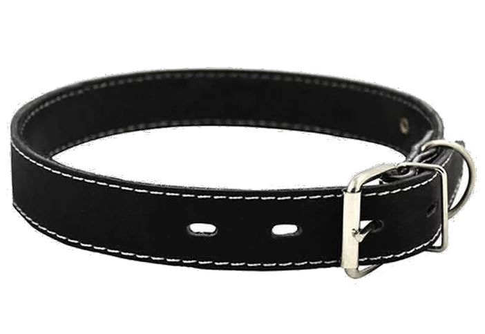 Ошейник обычный