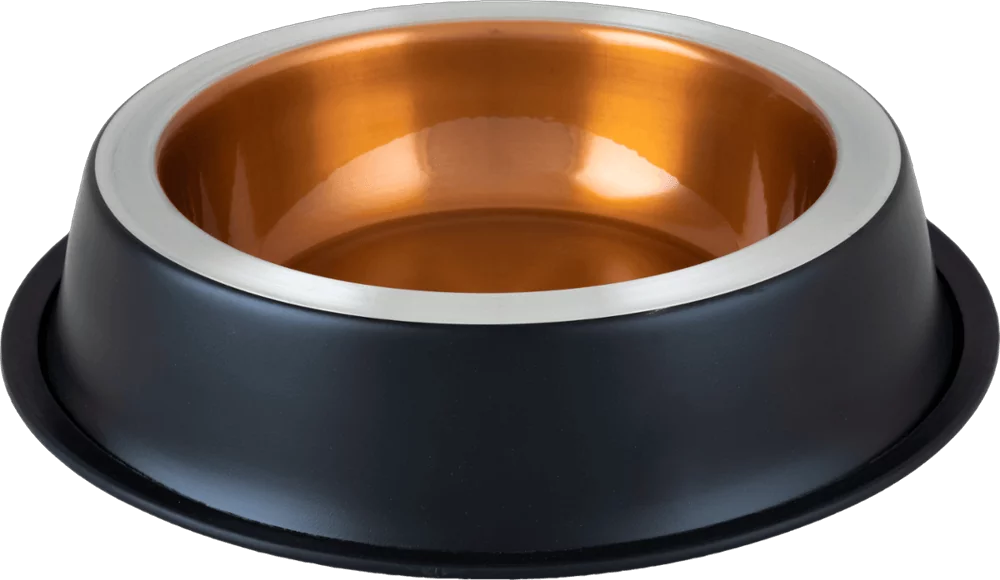 Собака должна быть голодной