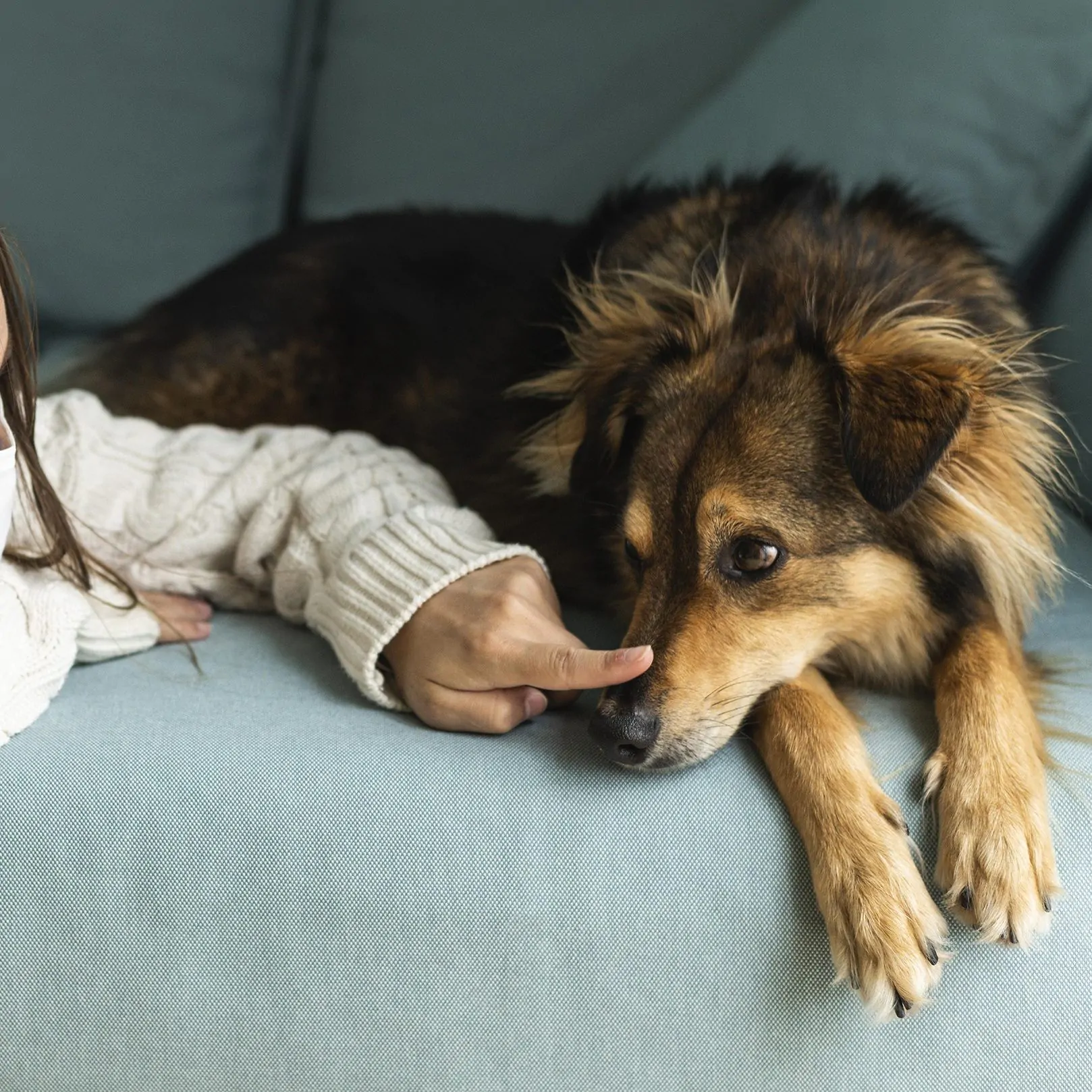 Переливание крови